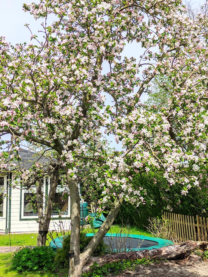 Foto 66 van Weijen 10