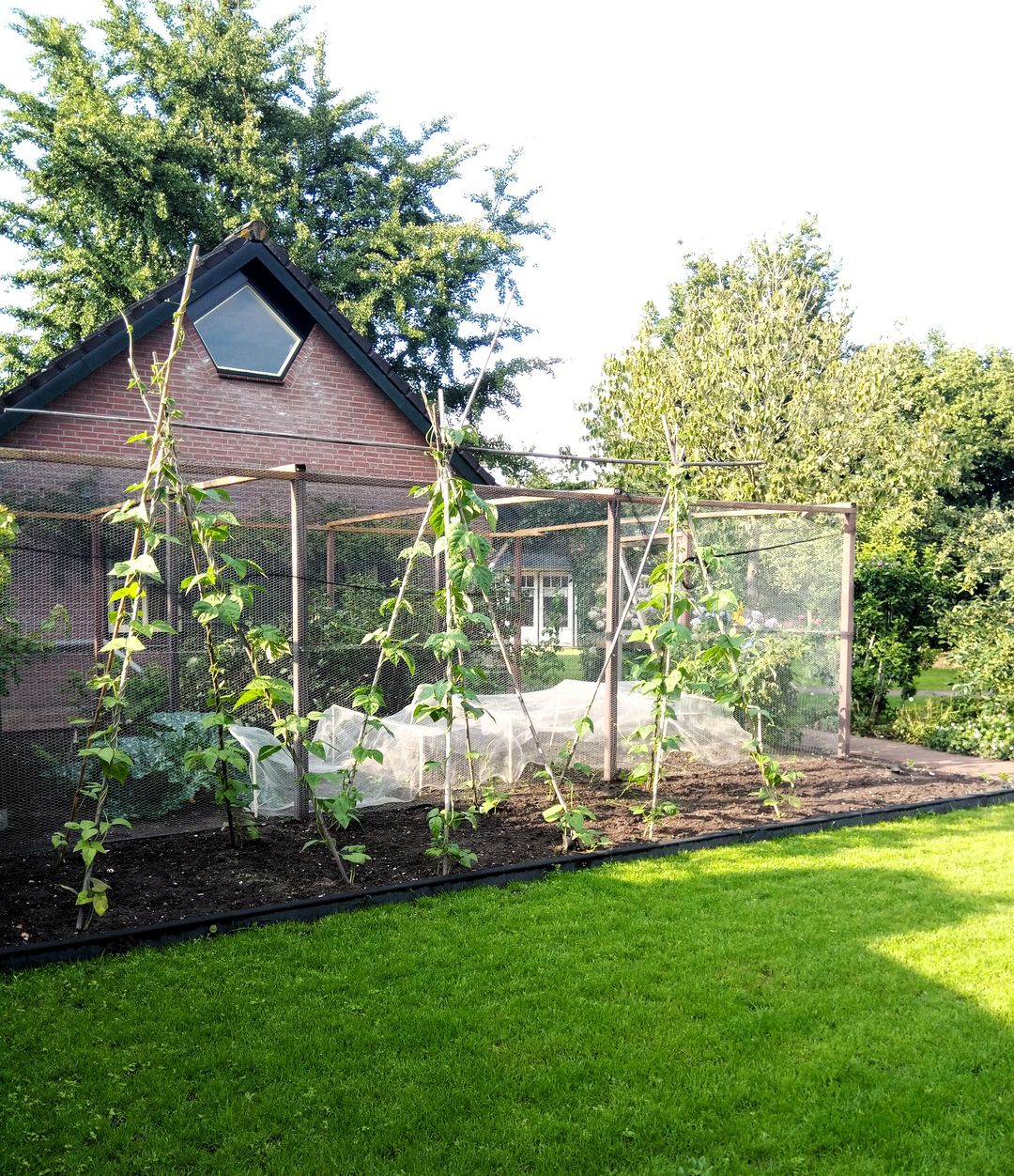 Photo 71 of Weijen 10