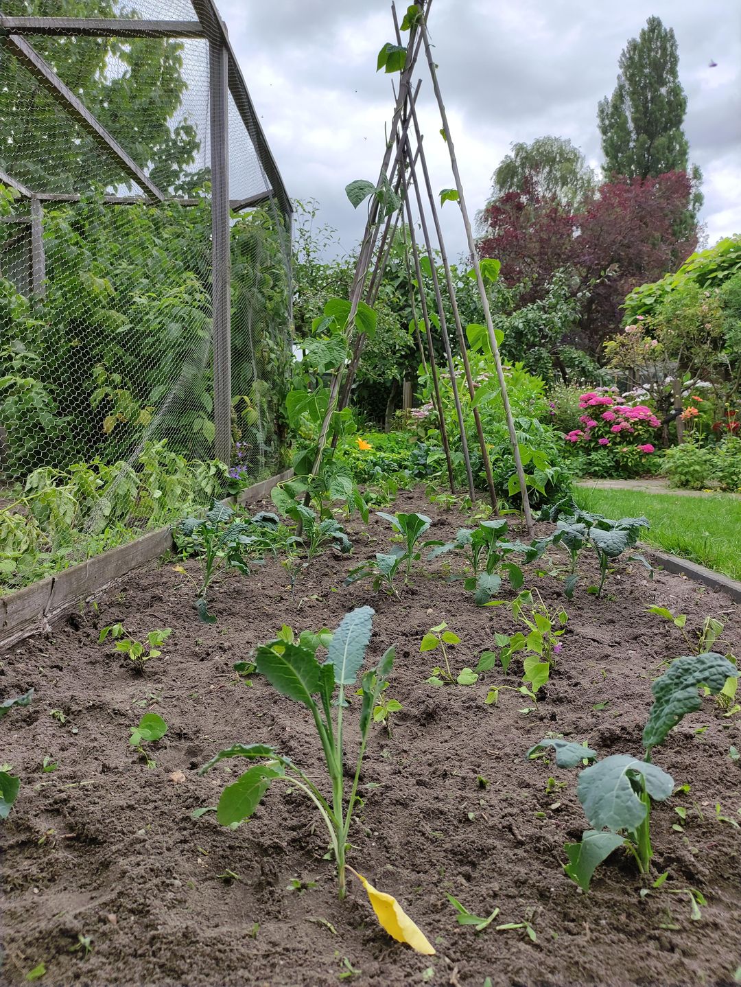 Photo 73 of Weijen 10