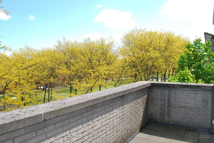 Foto 9 van Liedekerkeplantsoen 24