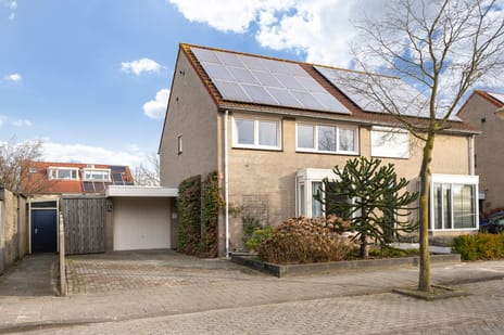 undefined main image