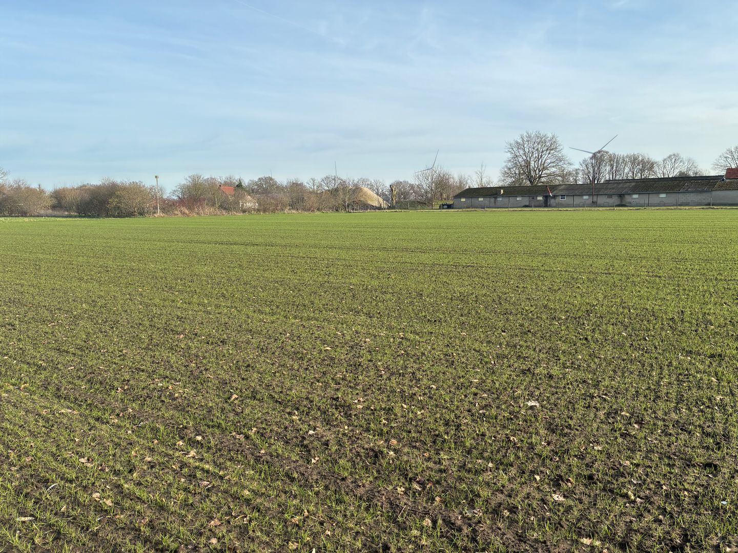 Bekijk foto 4 van nabij Plattepeeldijk