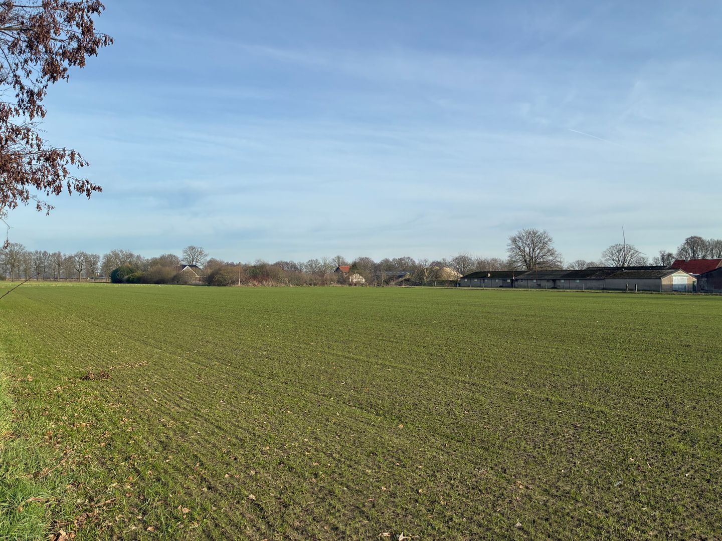 Bekijk foto 3 van nabij Plattepeeldijk