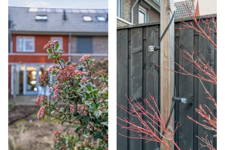 Foto 36 van Markeboek 30