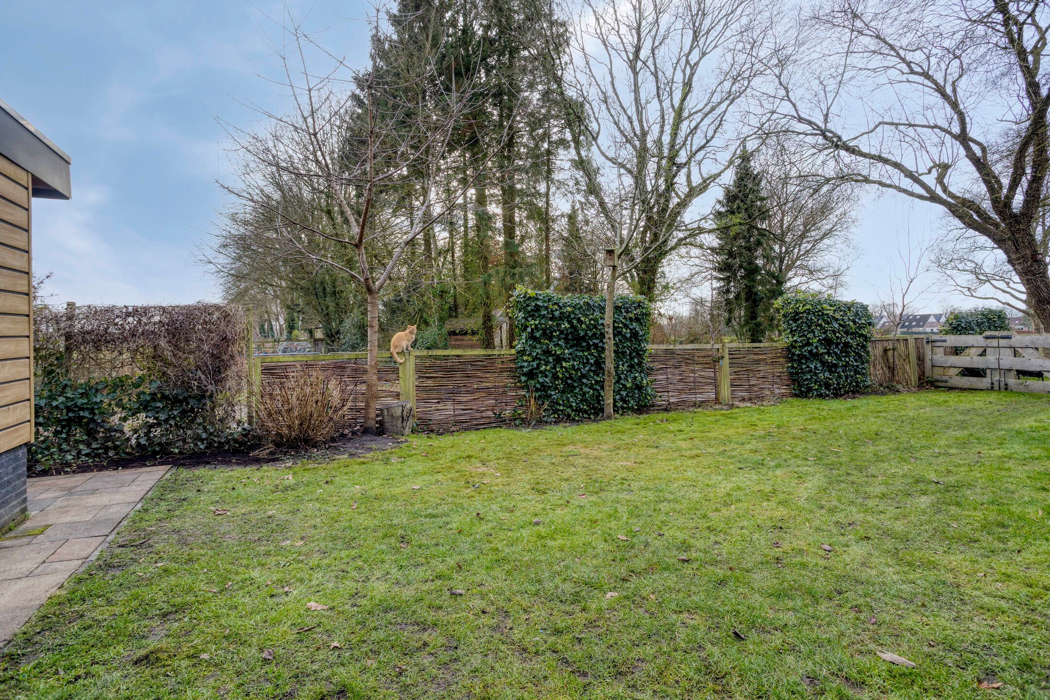 Photo 6 of De Eibert 9