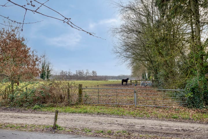 Foto 2 van De Eibert 9