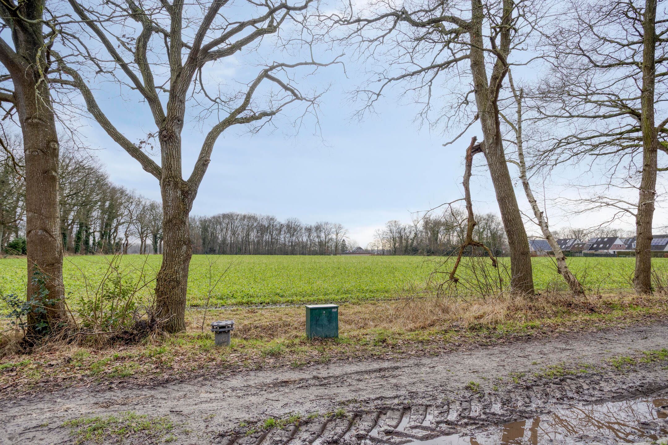 Photo 66 of De Eibert 9