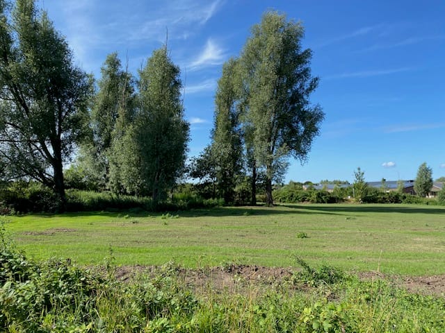 Foto 7 van Elzenbosweg *