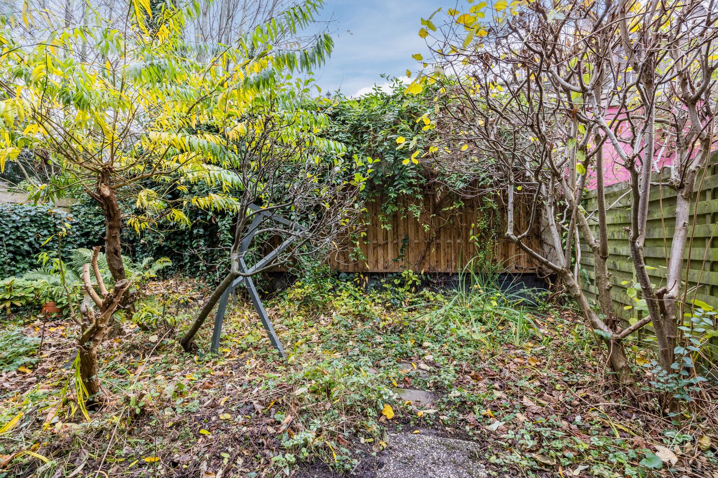 Foto 70 van Gerard Scholtenstraat 78-A