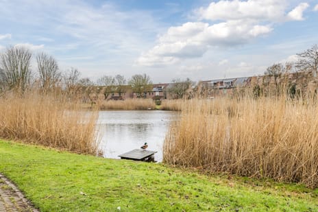 Boeier 7 secondary image