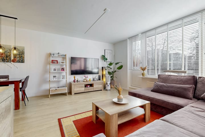 Foto 8 van King Olivereiland 4