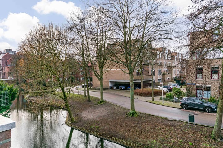 Foto 25 van King Olivereiland 4