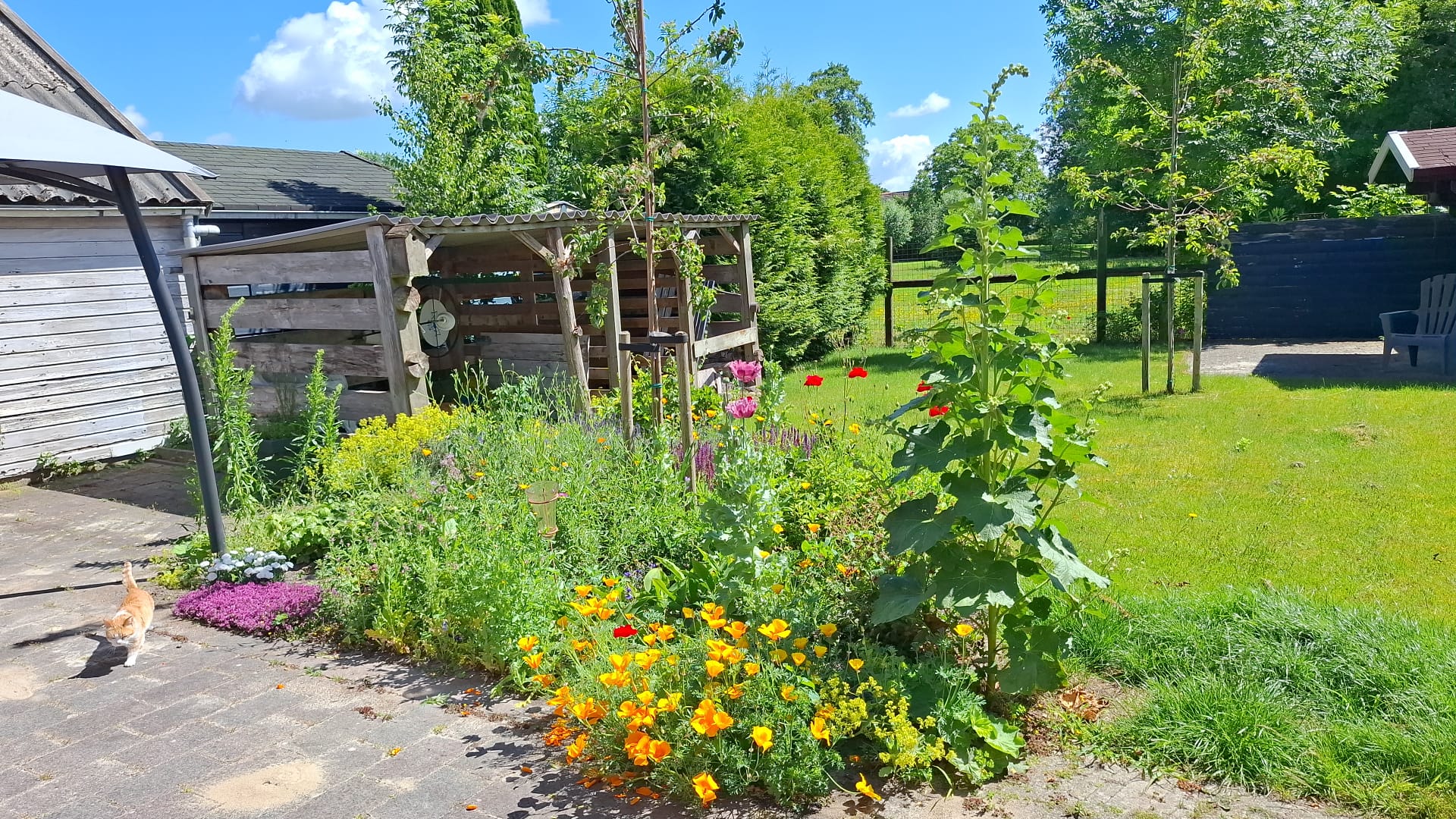 Foto 45 van Havenstraat 33