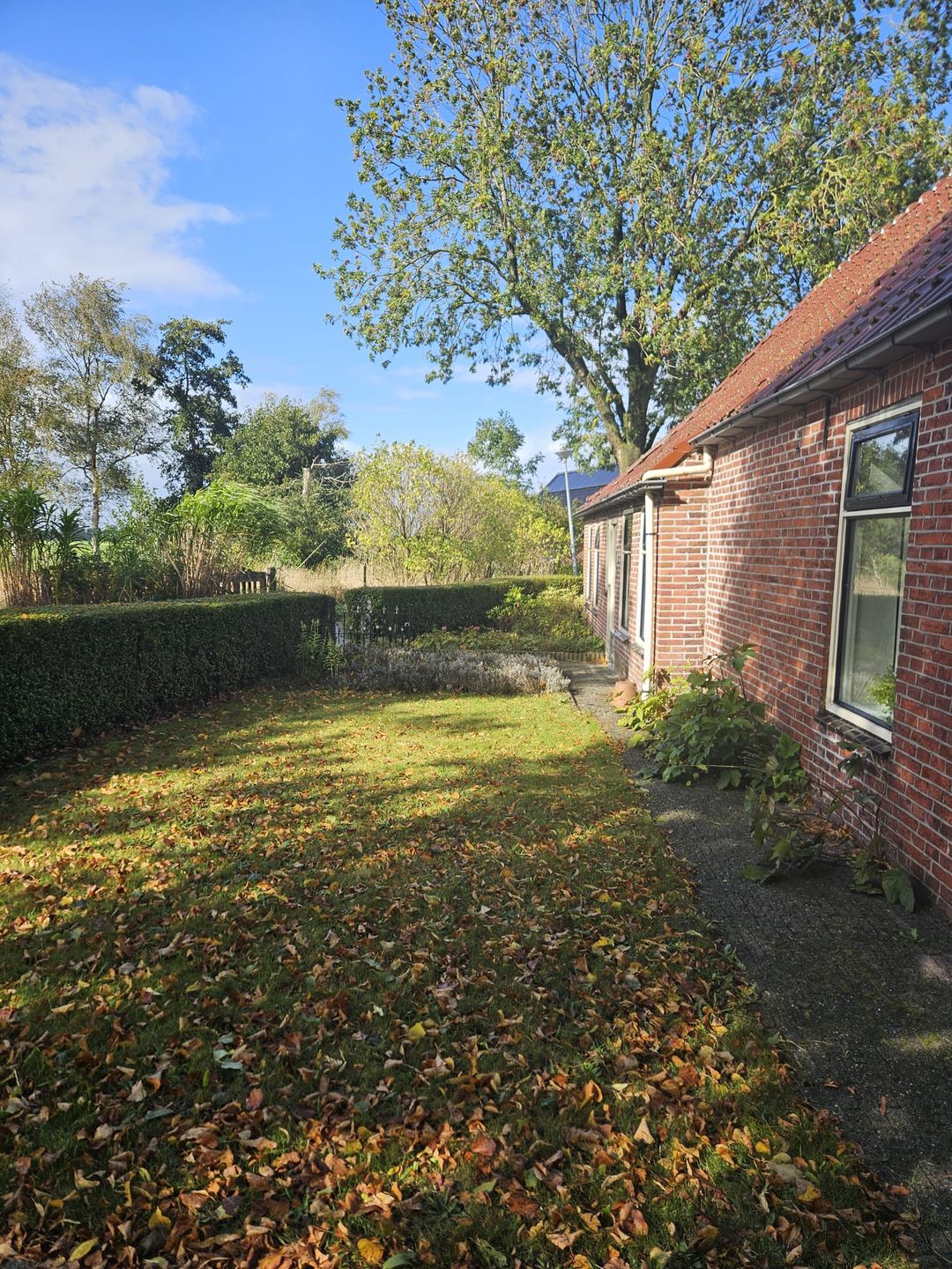 Foto 52 van Havenstraat 33