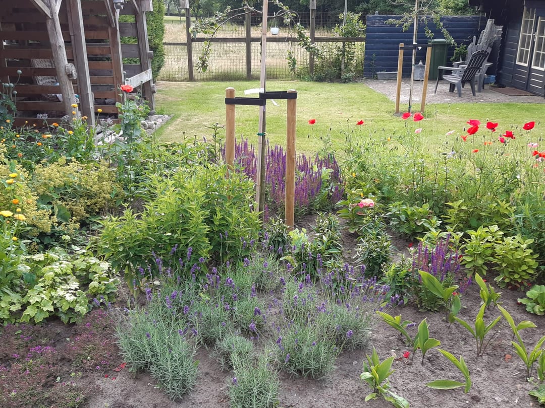 Foto 53 van Havenstraat 33