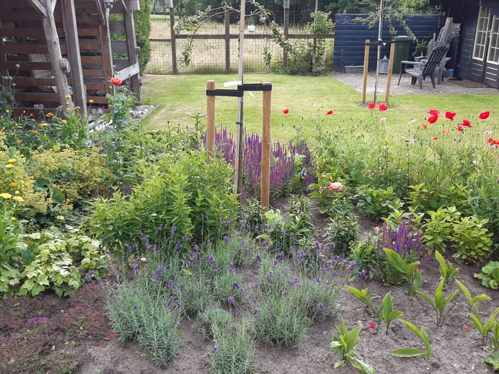 Foto 53 van Havenstraat 33