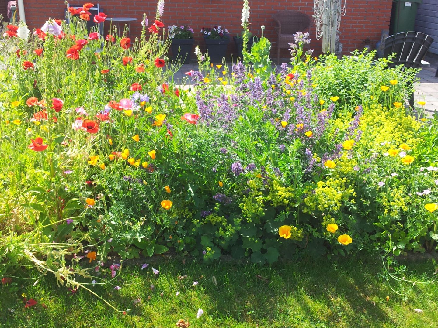 Foto 55 van Havenstraat 33