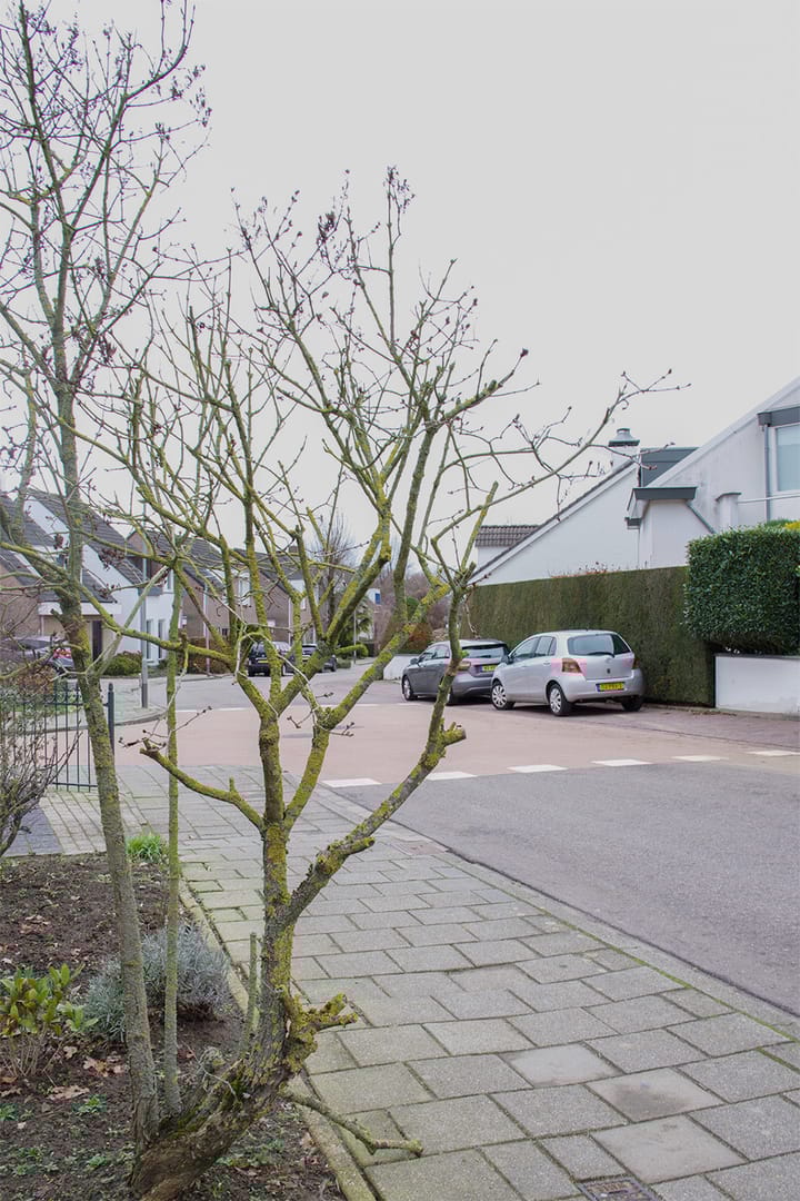 Photo 44 of Bakkerboschweg 9