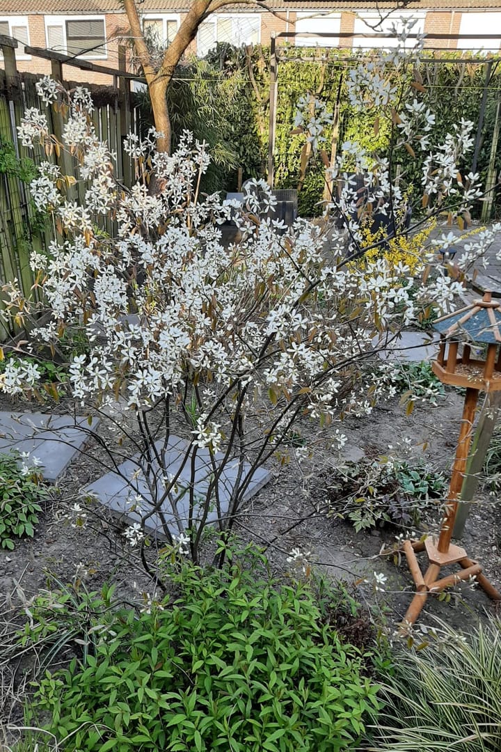 Foto 31 van Oud Vlissingen 30