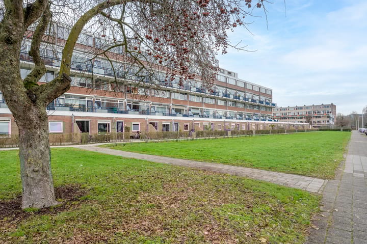 Foto 2 van Obrechtstraat 333