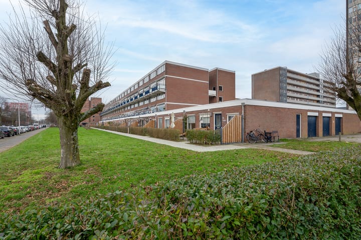 Foto 36 van Obrechtstraat 333