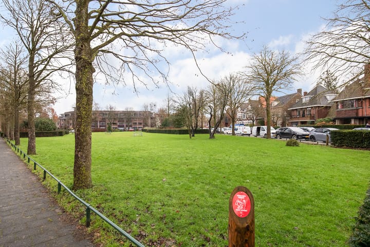 Foto 50 van Lamoraalstraat 4