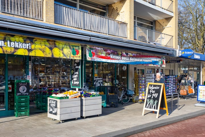 Foto 41 van Richterslaan 49