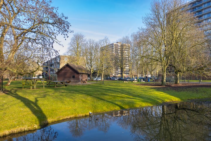 Foto 42 van Richterslaan 49