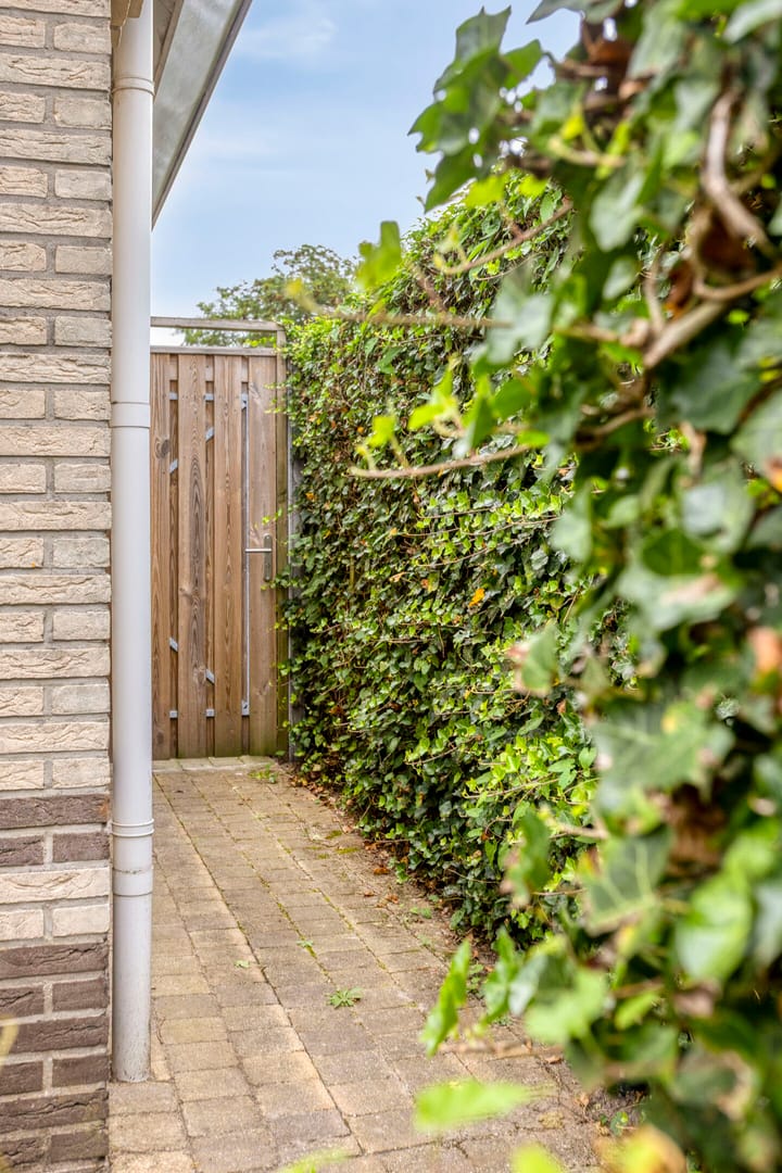 Foto 41 van Menkemaborg 34