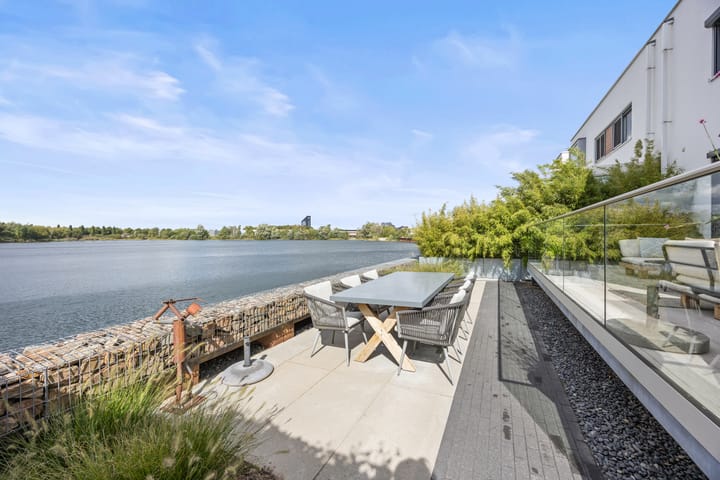 Foto 5 van Oeverzwaluw 7