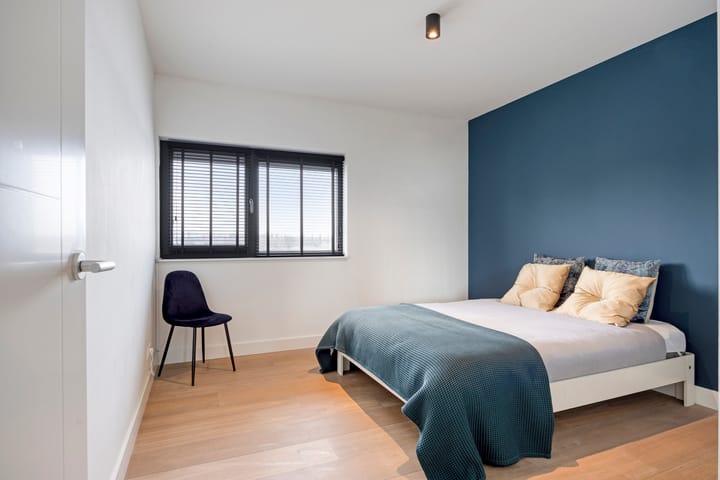 Foto 30 van Oeverzwaluw 7