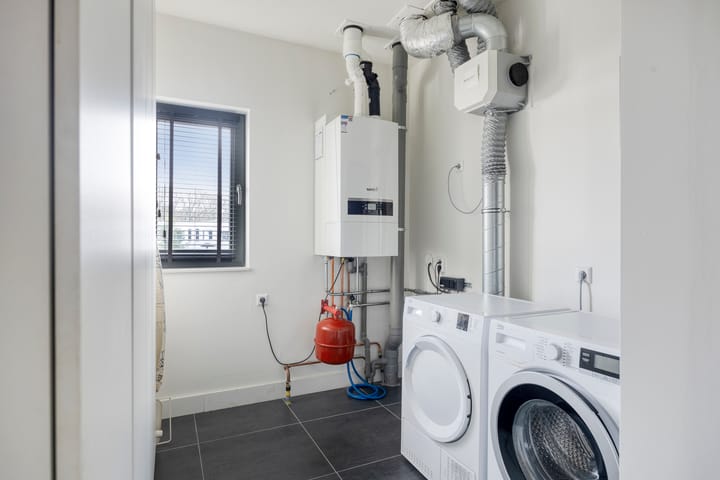 Foto 36 van Oeverzwaluw 7