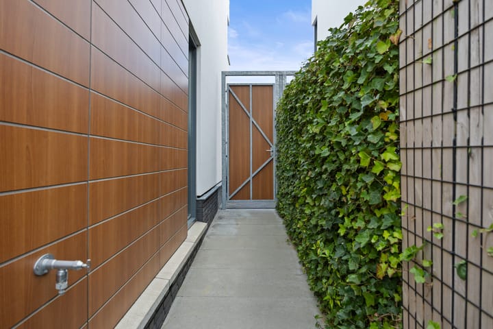 Foto 37 van Oeverzwaluw 7