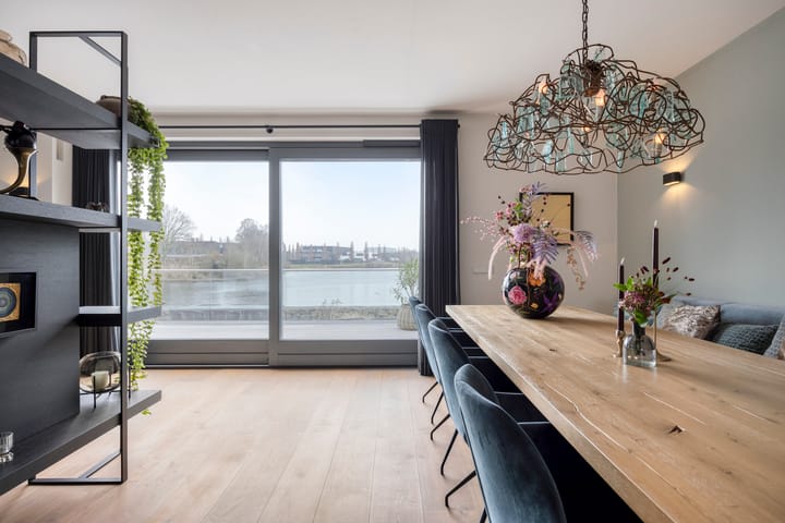 Foto 12 van Oeverzwaluw 7