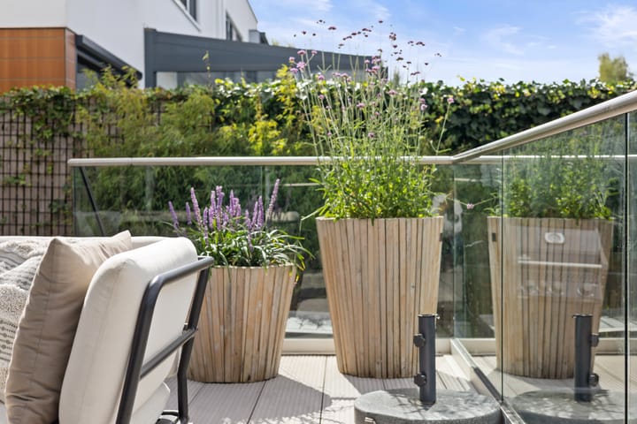 Foto 40 van Oeverzwaluw 7