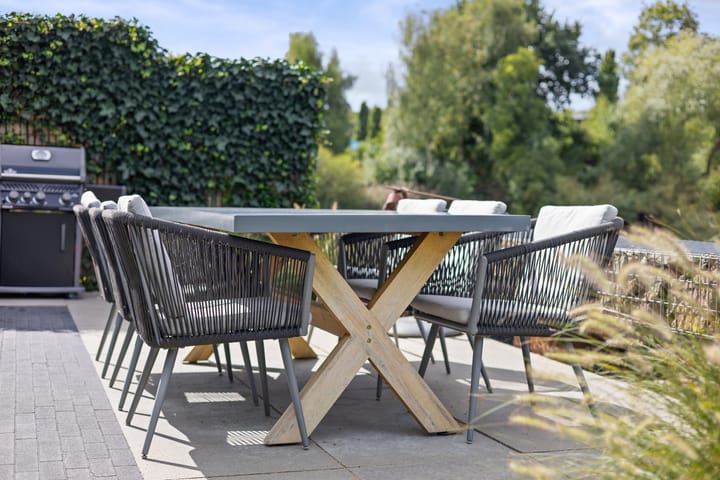 Foto 44 van Oeverzwaluw 7