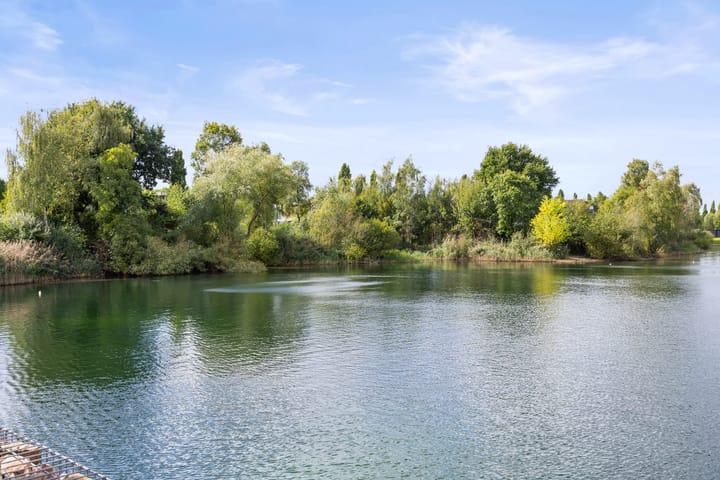 Foto 45 van Oeverzwaluw 7