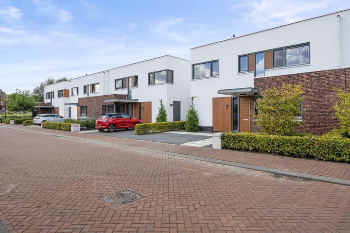 Foto 48 van Oeverzwaluw 7