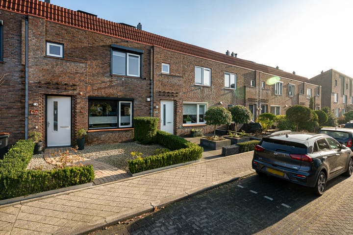 Foto 4 van Muurkruid 4