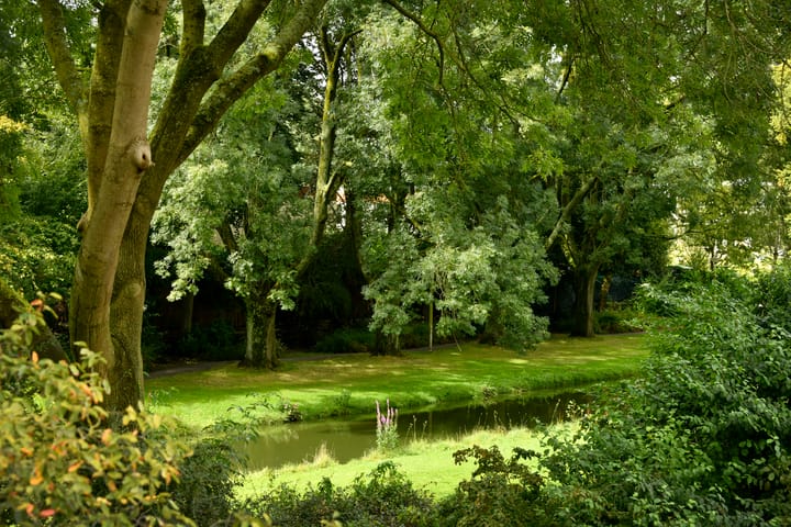 Photo 27 of De Roos van Dekama 1