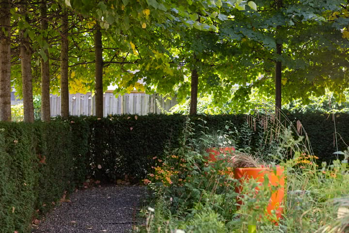 Photo 38 of De Roos van Dekama 1