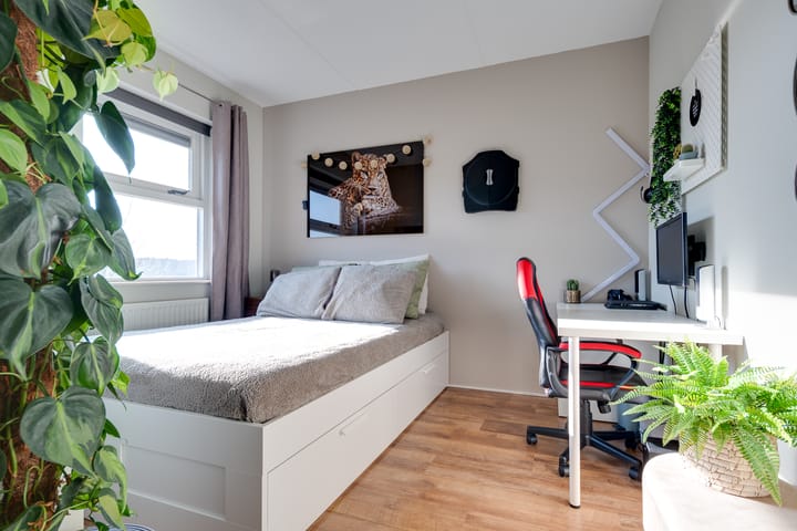 Foto 14 van Elstar 15