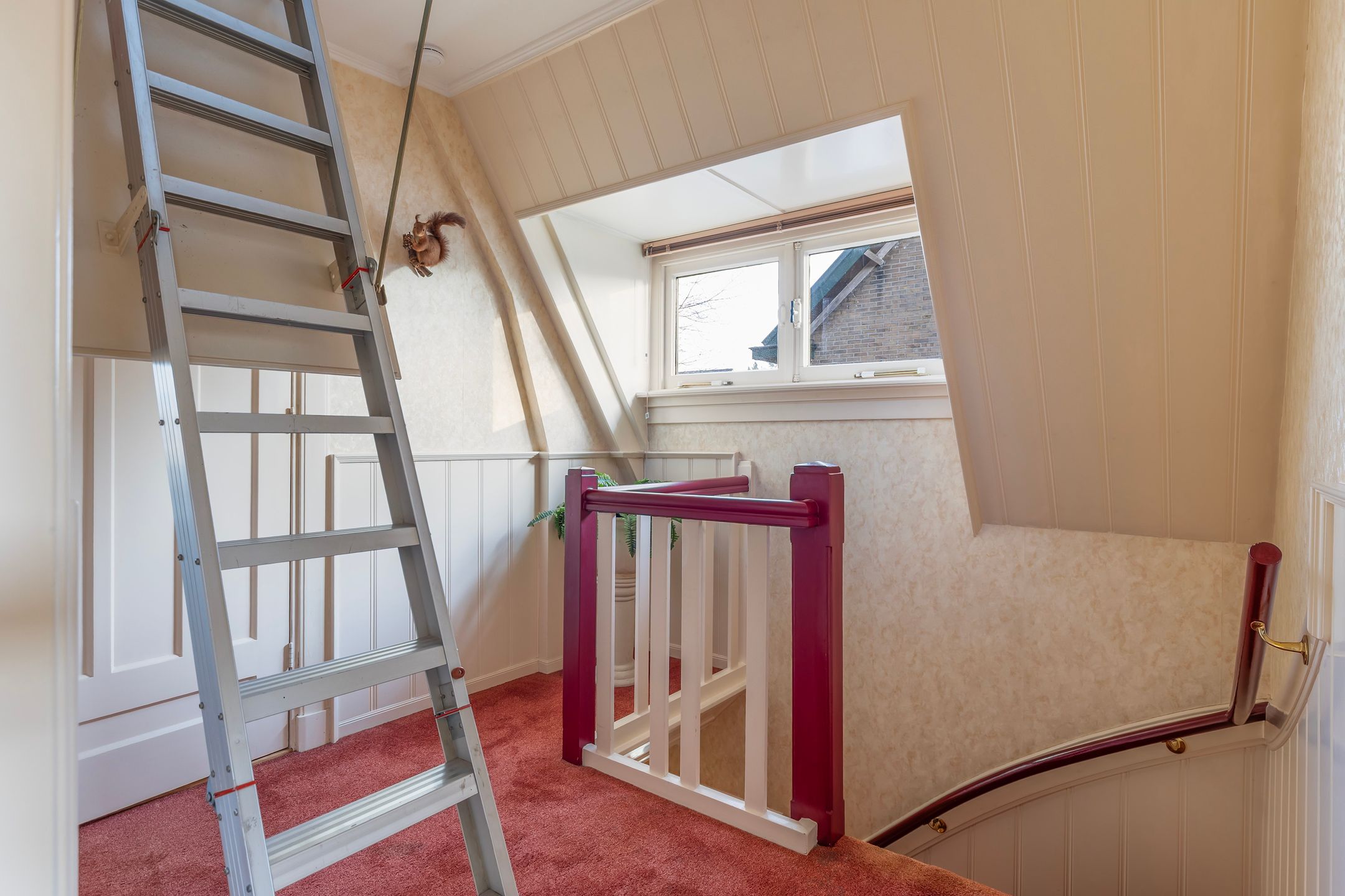 Foto 30 van Asselsestraat 311