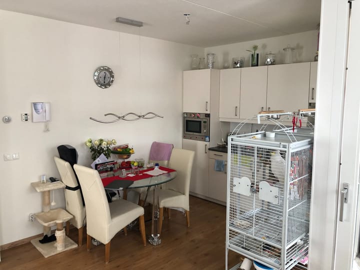 Foto 4 van Smidseind 91