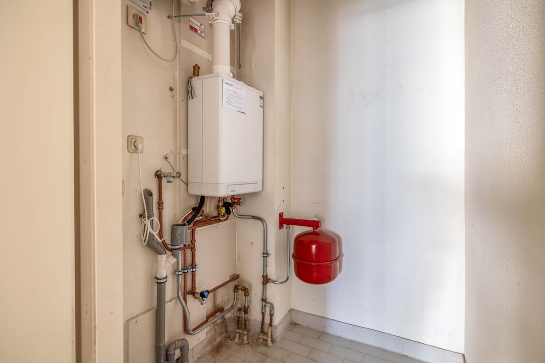 Foto 32 van De Rungraaf 28