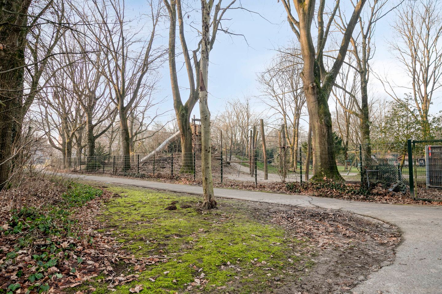 Foto 59 van Nieuwpoortstraat 14