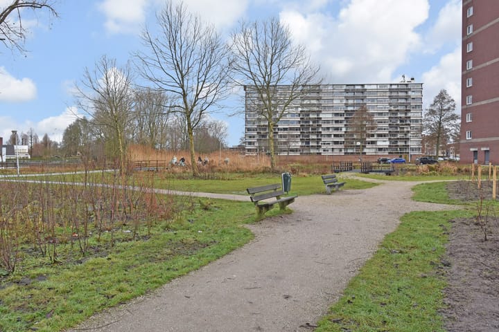 Photo 31 of Dreef 60