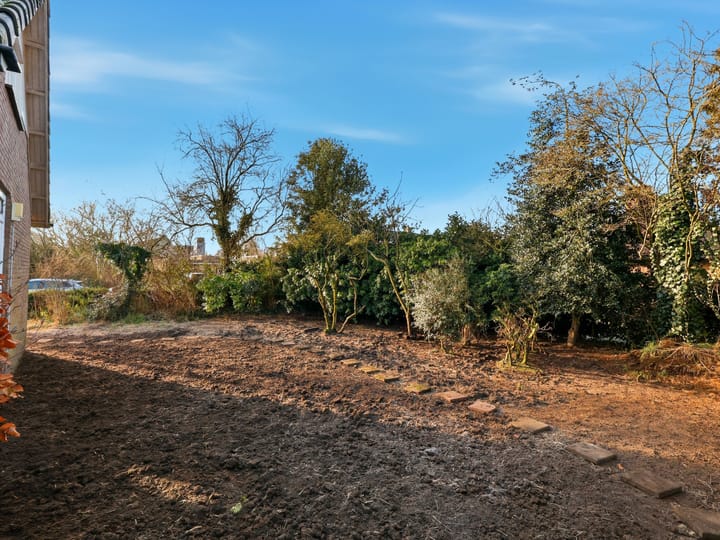 Foto 36 van Torenlaan 5