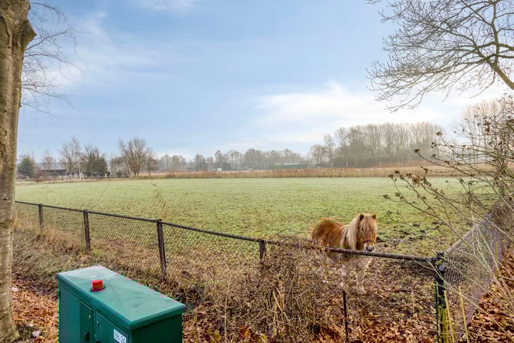 Foto 5 van Biezendijk 15