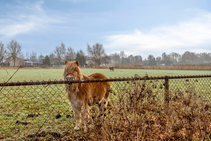 Photo 38 of Biezendijk 15